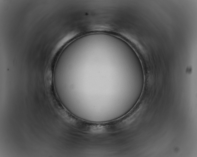 X0000100851317200807070923