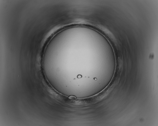 X0000100851318200807070923