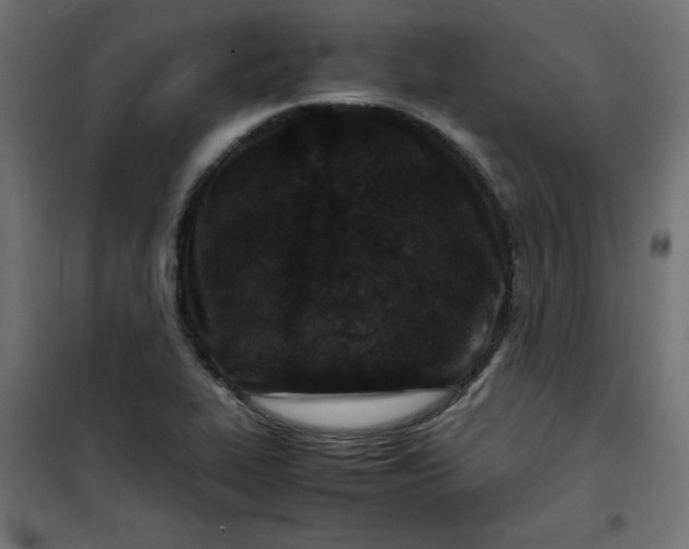 X0000100851319200807070923