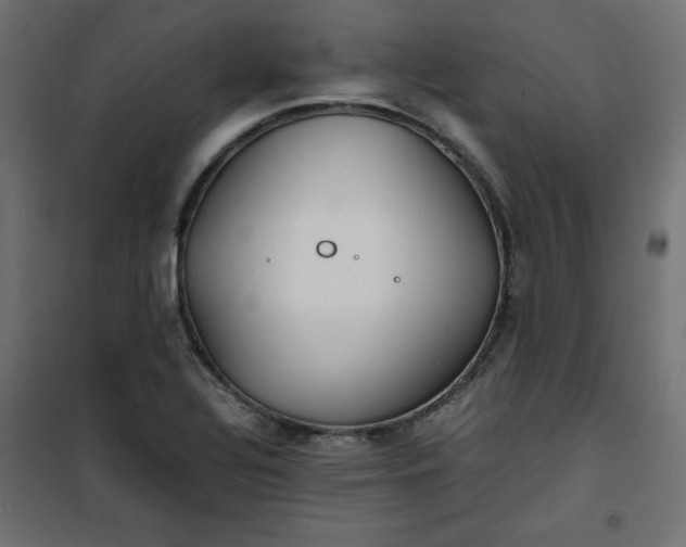 X0000100851320200807070923