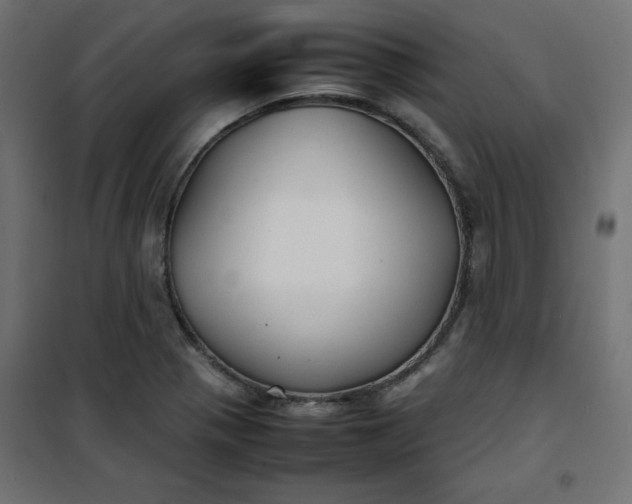 X0000100851321200807070923