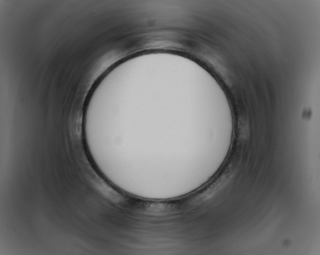 X0000100851322200807070923