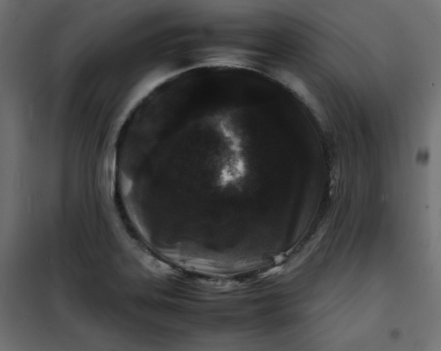 X0000100851323200807070924