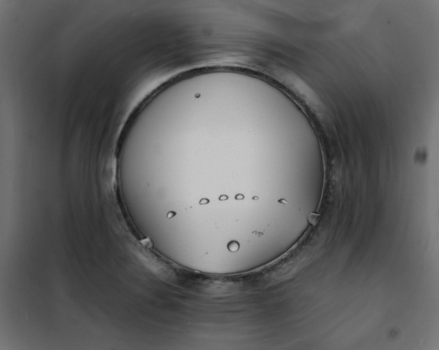 X0000100851324200807070924