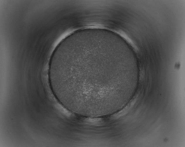 X0000100851325200807070924