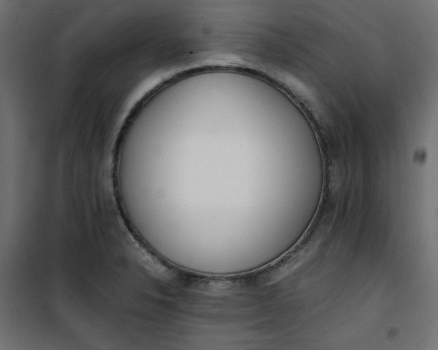 X0000100851326200807070924