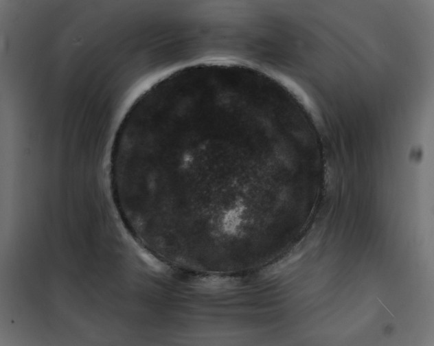 X0000100851327200807070924