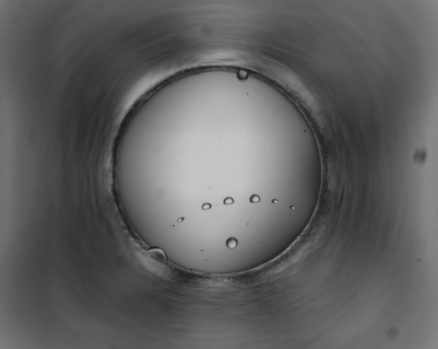 X0000100851328200807070924