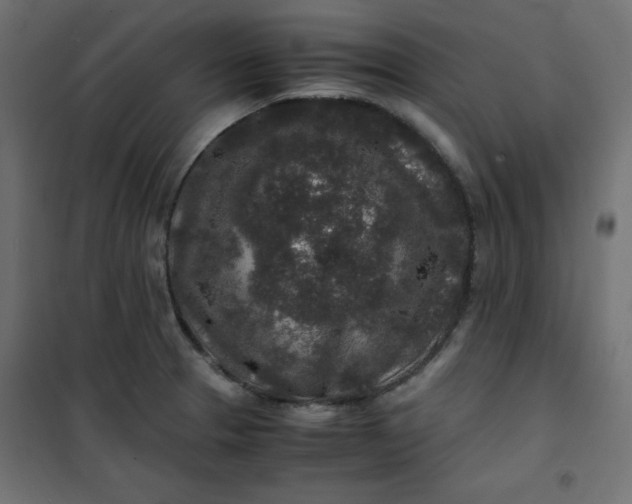 X0000100851329200807070924