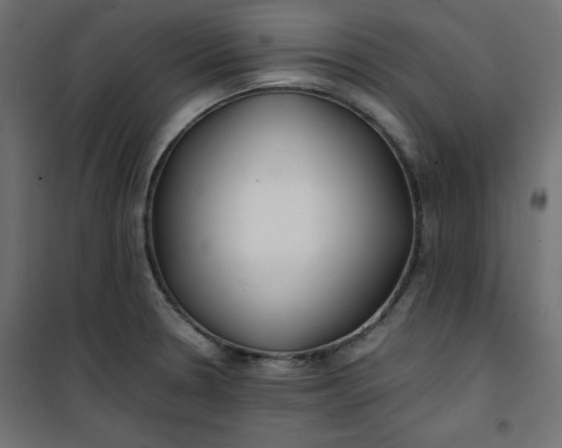 X0000100851330200807070924