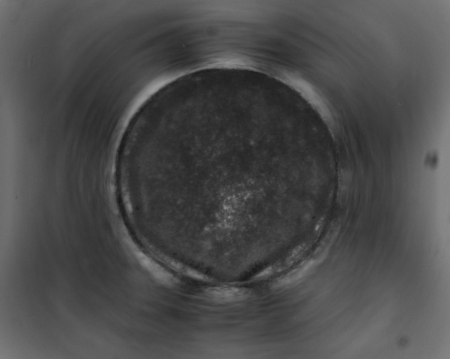 X0000100851331200807070924