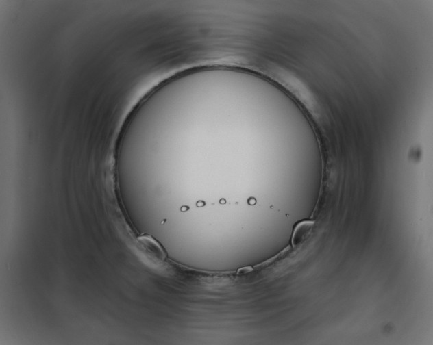 X0000100851332200807070924