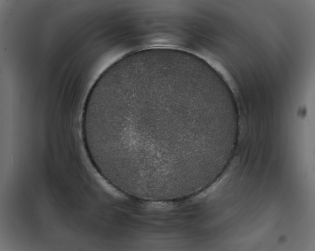 X0000100851333200807070924