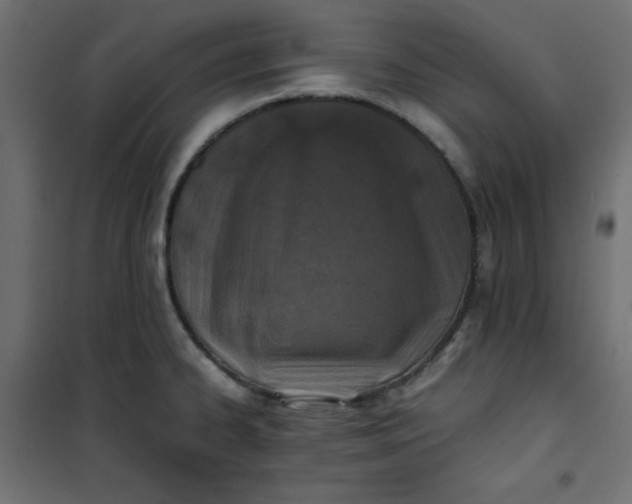 X0000100851334200807070924