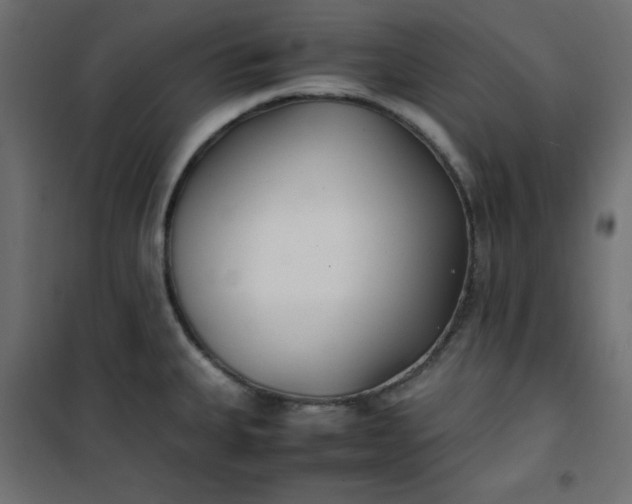 X0000100851335200807070924