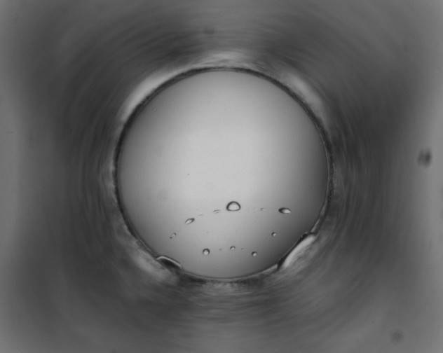 X0000100851336200807070924