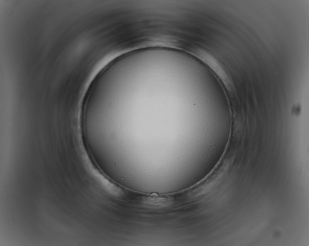 X0000100851339200807070924