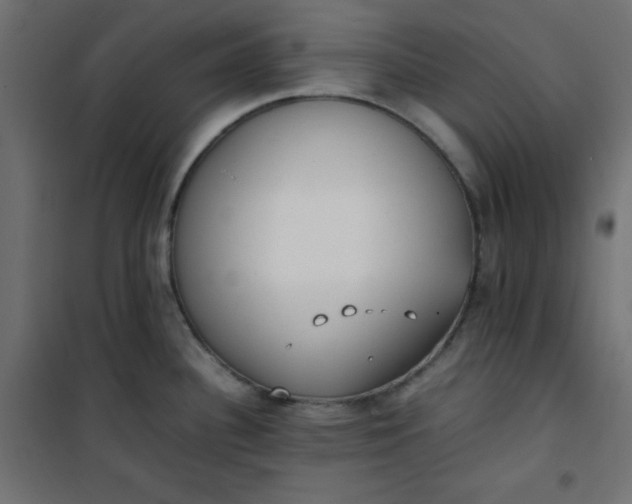 X0000100851340200807070924