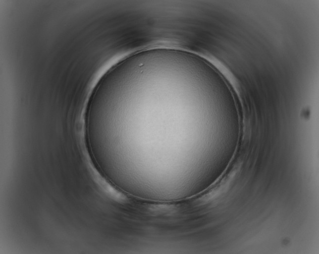 X0000100851341200807070924