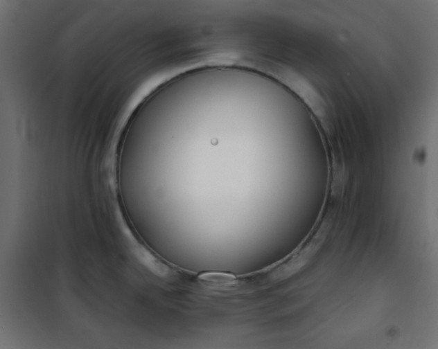 X0000100851342200807070924