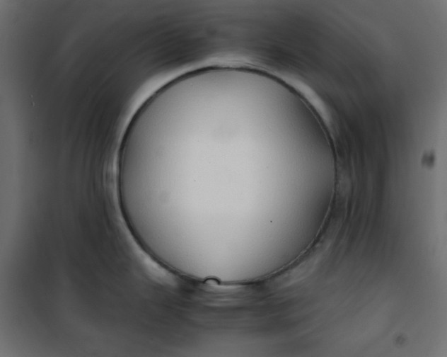 X0000100851343200807070924