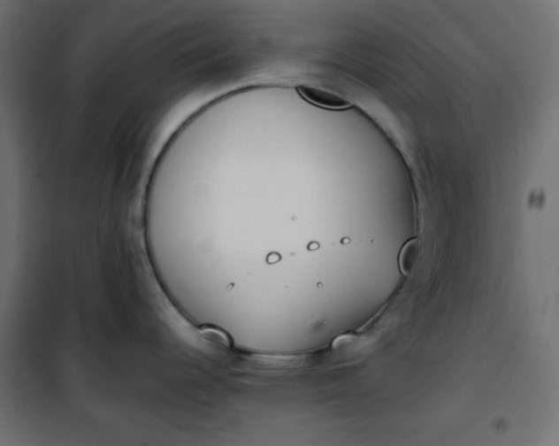 X0000100851344200807070924