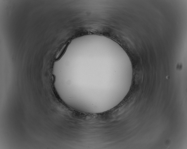 X0000100851345200807070923