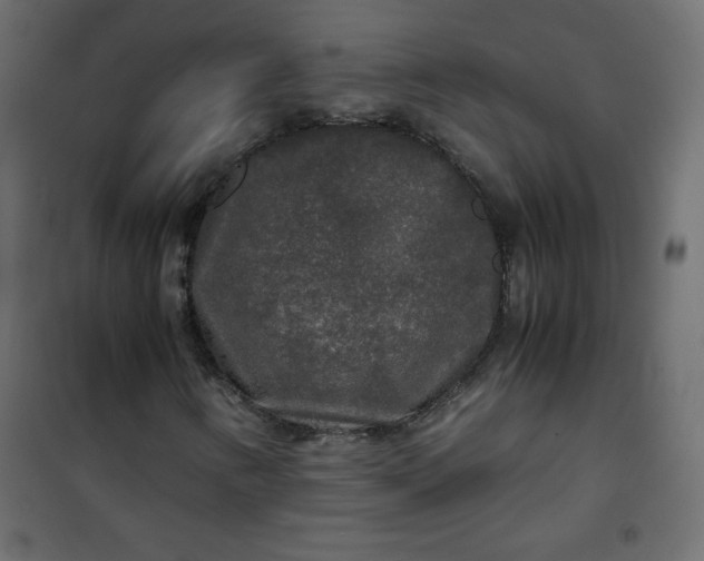 X0000100851346200807070923