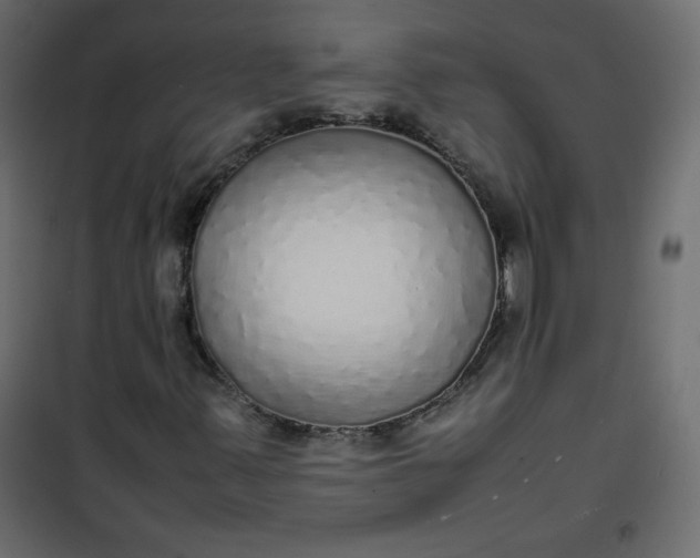 X0000100851347200807070923