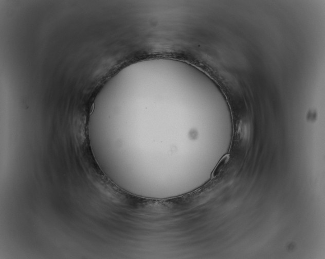 X0000100851348200807070923