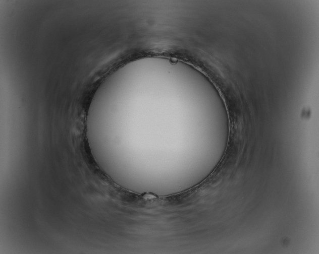 X0000100851349200807070923