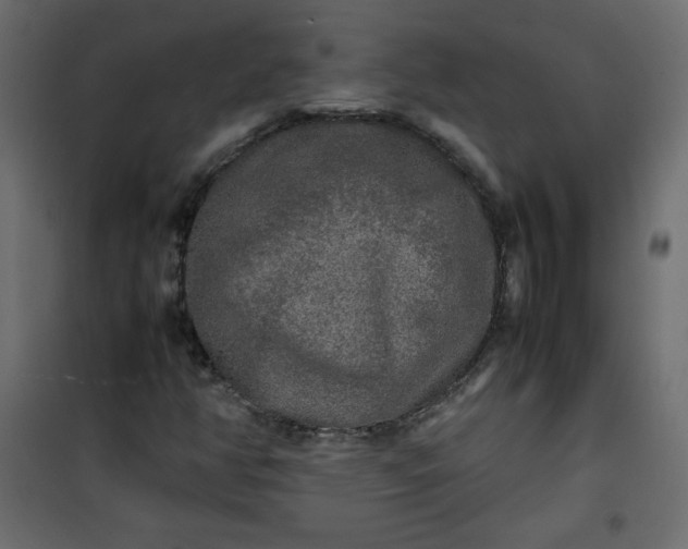 X0000100851350200807070923