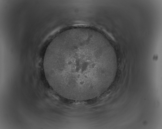 X0000100851351200807070923