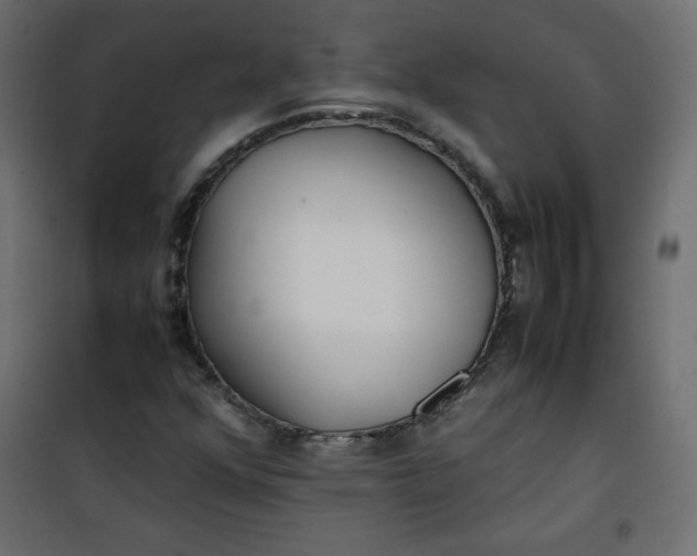 X0000100851352200807070923