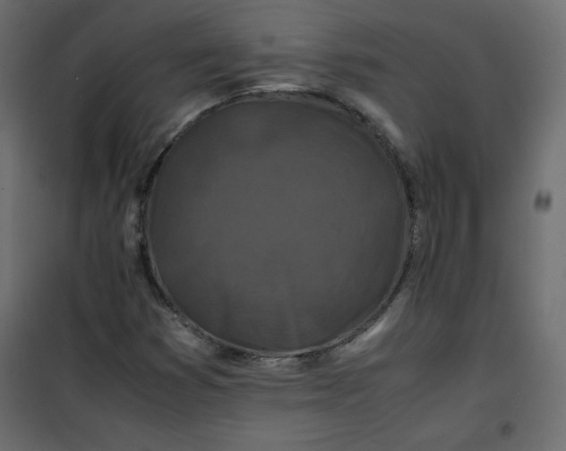 X0000100851353200807070923