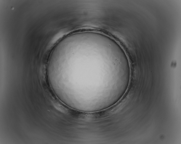 X0000100851355200807070923