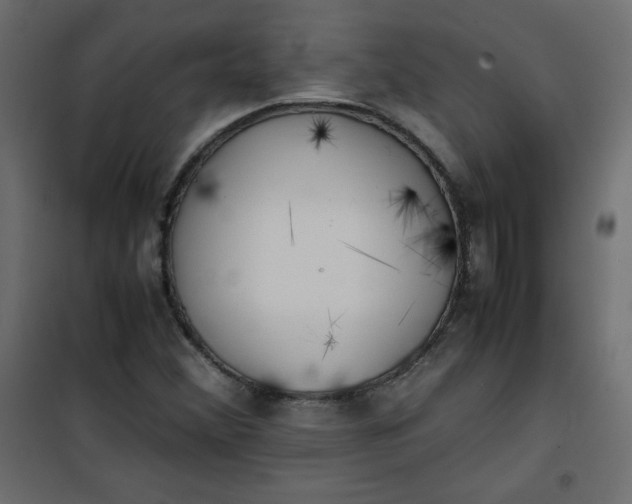 X0000100851356200807070923