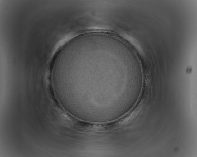 X0000100851357200807070923