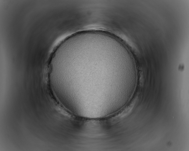 X0000100851358200807070923