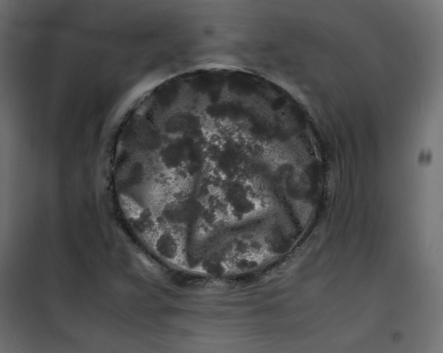 X0000100851359200807070923