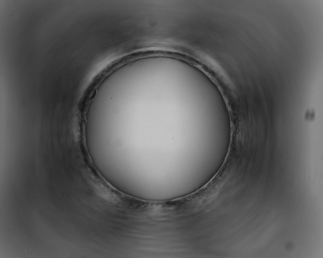 X0000100851360200807070923