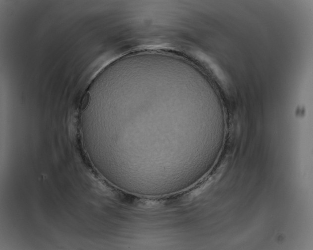 X0000100851361200807070923