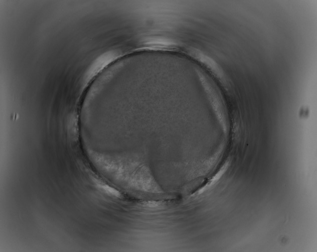 X0000100851362200807070923