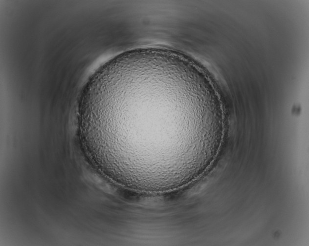 X0000100851363200807070923