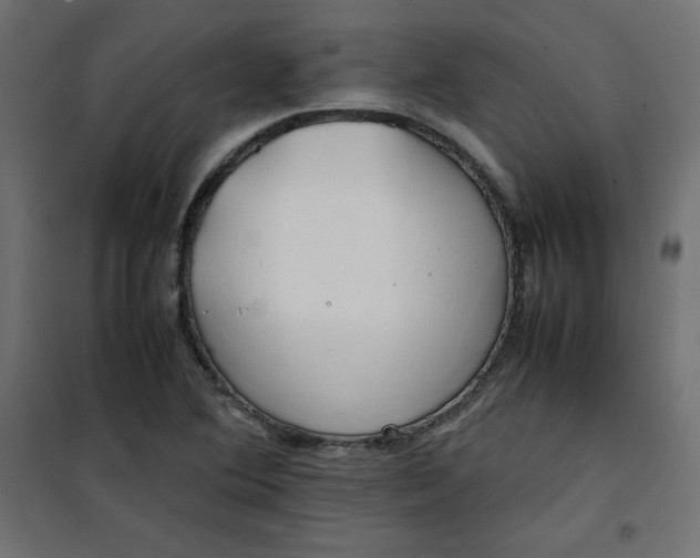 X0000100851364200807070923