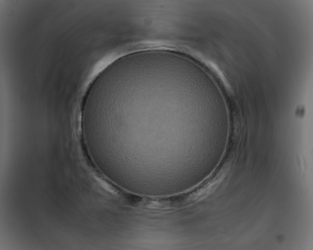 X0000100851365200807070923