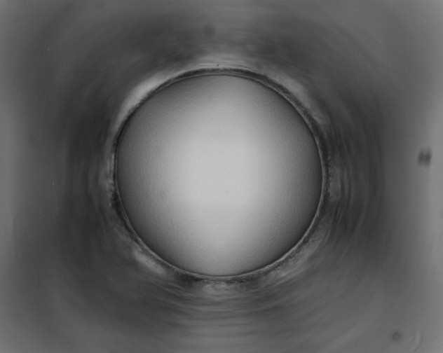 X0000100851366200807070923