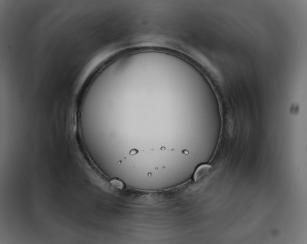 X0000100851368200807070923