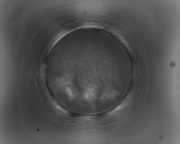 X0000100851369200807070923