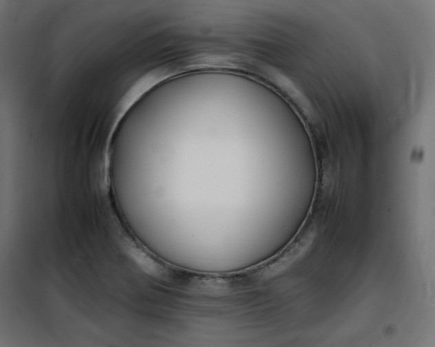 X0000100851370200807070923